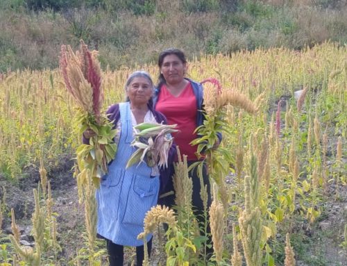 NOU PROJECTE AGRÍCOLA EN CLAU FEMINISTA  A BOLIVIA