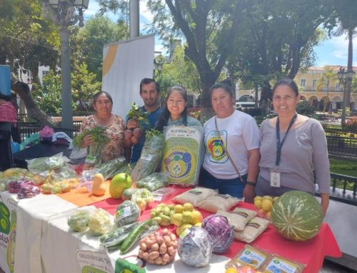 AVANÇA EL PROJECTE “SEMBREM CONSCIÈNCIA I ALIMENTS ECOLÒGICS”