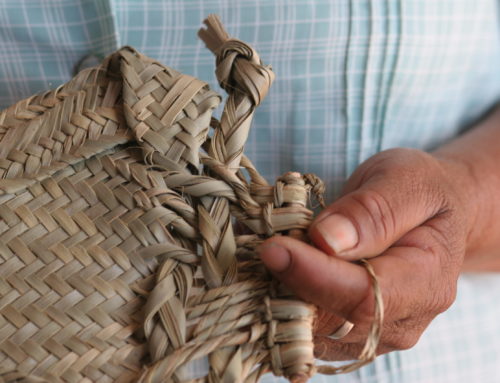 👉 Preparando los datos fiscales de vuestras aportaciones a  Menuts del Món (ejercicio 2025)